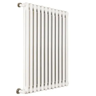 Ardesia radiatore tubolare 2 colonne 22 elementi h.500 - colore bianco RAL9016 - completo di tappo cieco e riduzioni da 1/2" 3541700027102