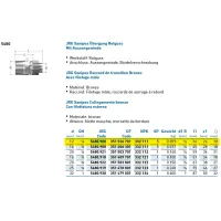 5480.900 JRG Sanipex Collegamento bronzo con filettatura esterna d.12 351536701