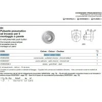 Pulsante pneumatico ad incasso, colore bianco per cassetta Valsir VS0802301