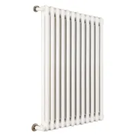 Ardesia radiatore tubolare 2 colonne 20 elementi h.600 - colore bianco RAL9016 - completo di tappo cieco e riduzioni da 3/8" 3541700058683