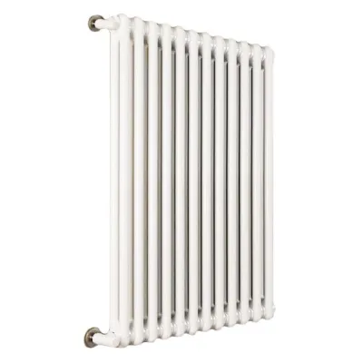 Ardesia radiatore tubolare 2 colonne 20 elementi h.600 - colore bianco RAL9016 - completo di tappo cieco e riduzioni da 3/8" 3541700058683