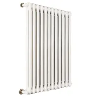 Ardesia radiatore tubolare 2 colonne 22 elementi h.586 - colore bianco RAL9016 - completo di tappo cieco e riduzioni da 1/2" 3541700072945