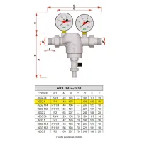 3932 - Filtro cromato con attacchi maschio-maschio e attacchi manometro - Misura 1" 3932 1