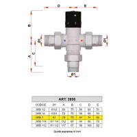 3956 - Miscelatore termostatico cromato con attacchi maschio e bocchettoni - Misura 1" 3956 1