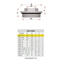 4200 - Riduzione terminale con tenuta O'RING - Misura 3/4" x 1/4" 4200 3414