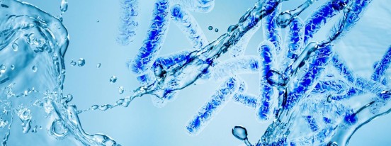 La legionella negli impianti – Guida tecnica per la prevenzione e il controllo