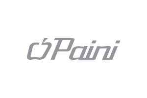 P.A.I.N.I.